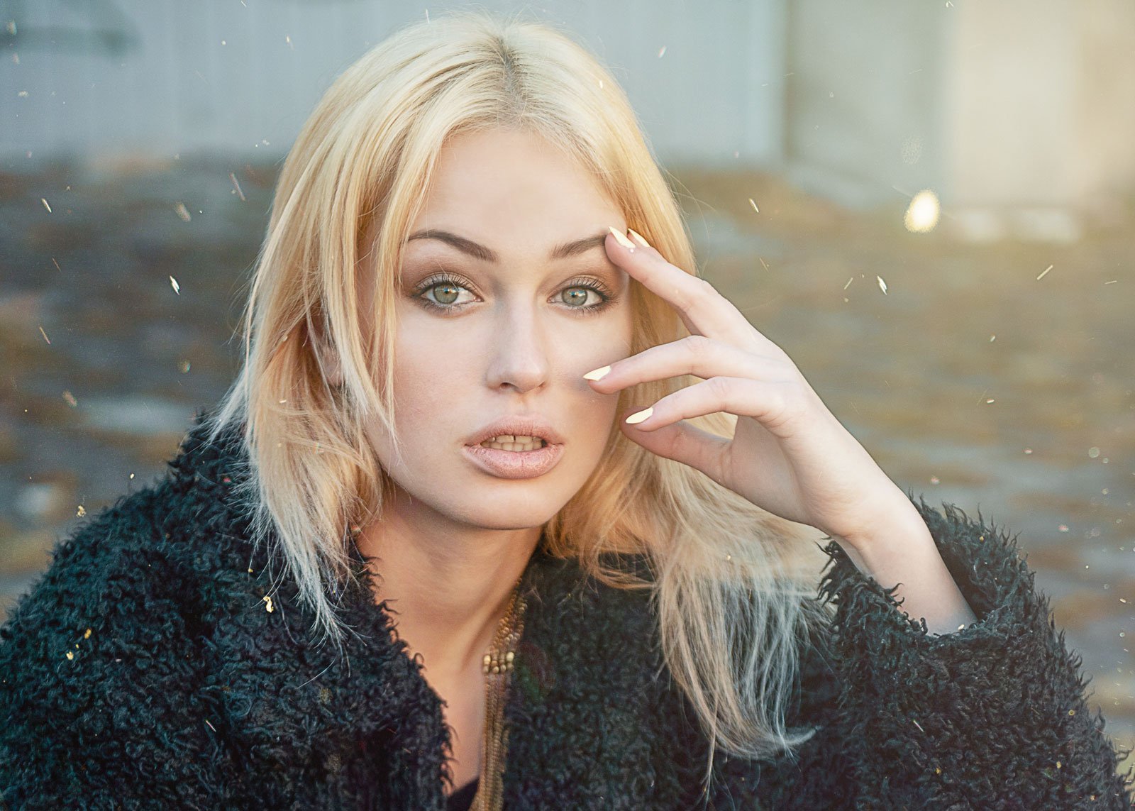 Dui sapien eget mi proin sed libero enim