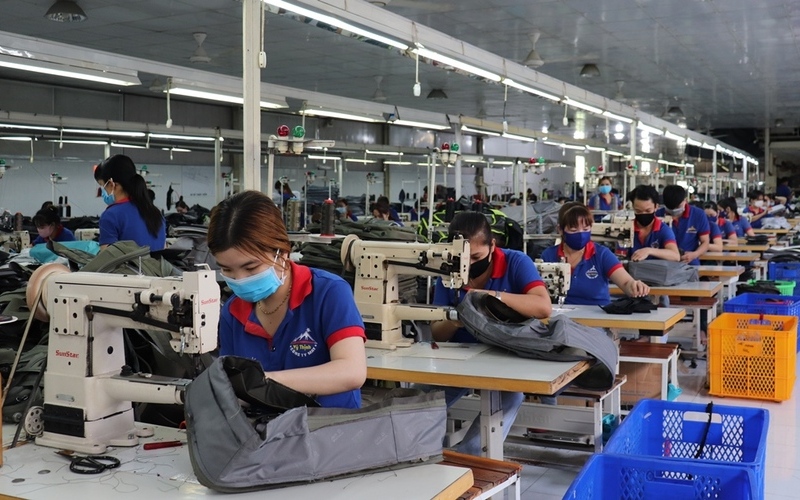 Công ty may quận 8 - Anh Vỹ (Nguồn: Internet)