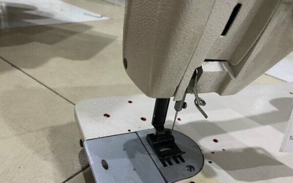 Máy may ziczac (Nguồn: Internet)